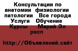 Консультации по анатомии, физиологии, патологии - Все города Услуги » Обучение. Курсы   . Марий Эл респ.